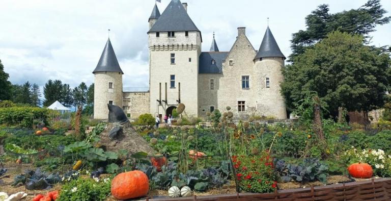 CASTELLI DELLA LOIRA: nel cuore dei giardini di Francia