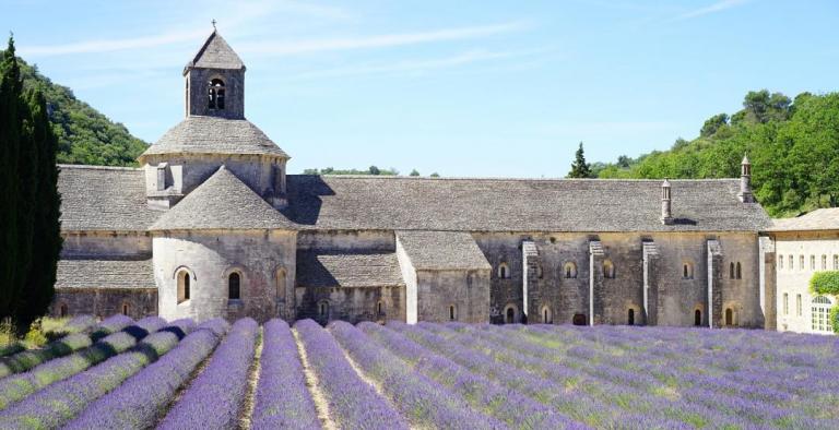 Provenza: i colori e i profumi della Lavanda