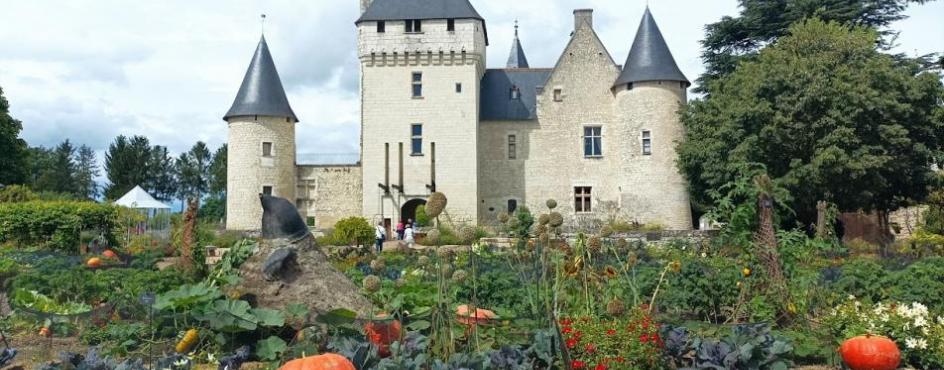 CASTELLI DELLA LOIRA: nel cuore dei giardini di Francia