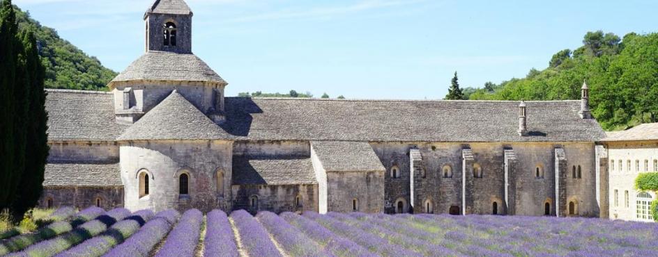 Provenza: i colori e i profumi della Lavanda