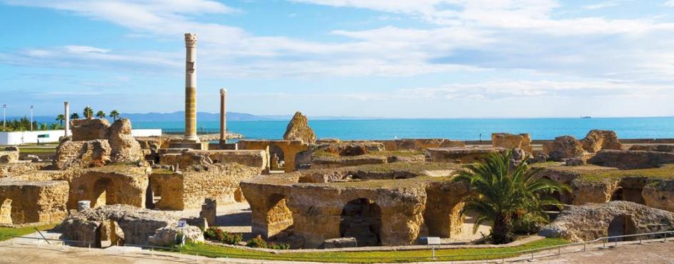 Tunisia Antiche rovine e oasi incantate